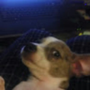 Meet your Posher, Boozamn